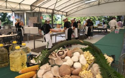 Sabato 17 agosto 2019, la “Sagra dei Funghi delle Terre di Romagna” a Montescudo