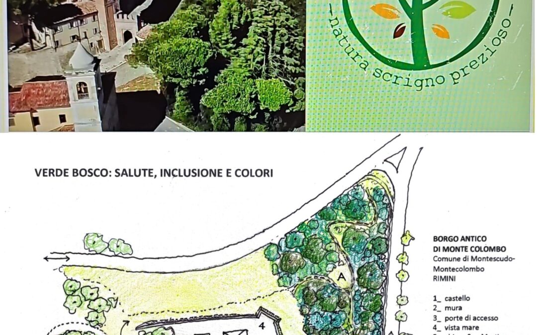 COMUNICATO: Progetto “BOSCO SALUTE COLORI: natura scrigno prezioso”: al via la campagna di raccolta fondi